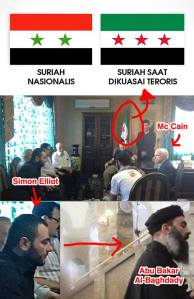 McCain Syria