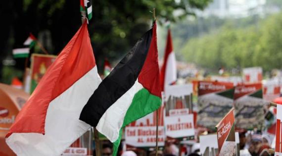 demo pro palestina